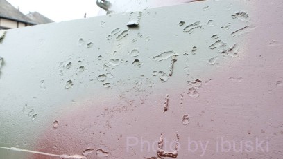 DSCF4423