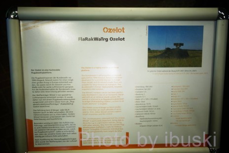 DSC00296