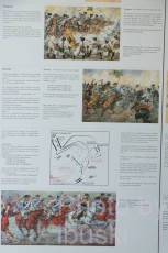 DSCF7647