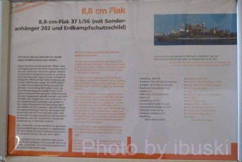 DSCF7747