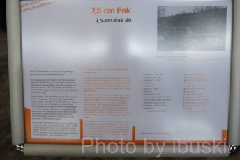 DSCF8045
