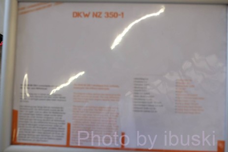 DSCF8129