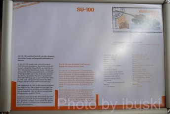 DSCF8134