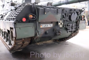 DSCF8260