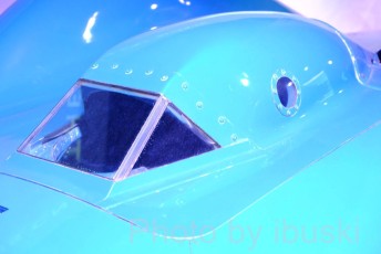 DSCF3810