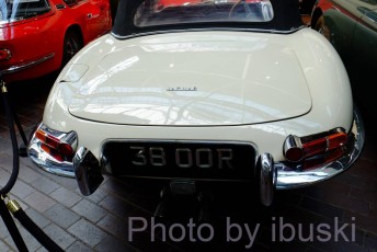 DSCF3879