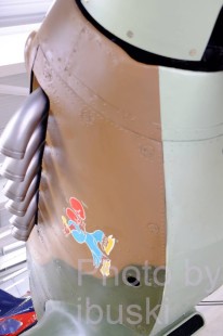DSCF2411
