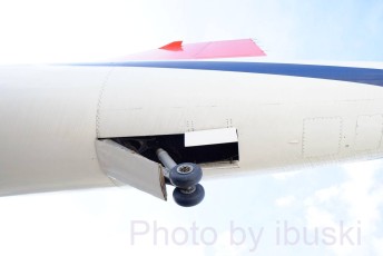 DSCF2460