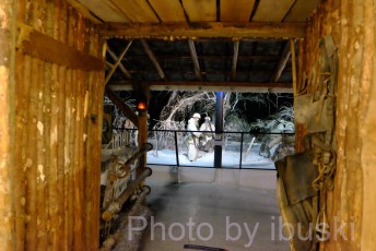 DSCF0896