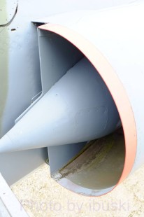 DSCF4118
