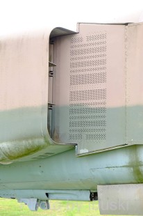DSCF4455