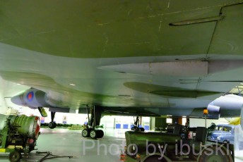 DSCF1952