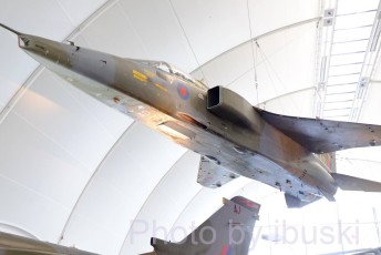 DSCF2079