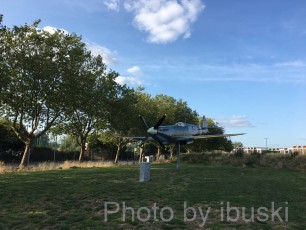 IMG_3379