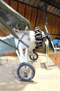 DSCF0784
