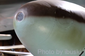 DSCF0899