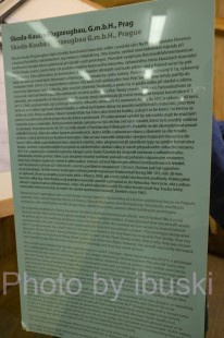 DSCF1011