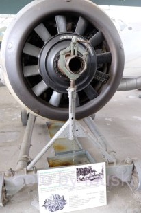 DSCF1075