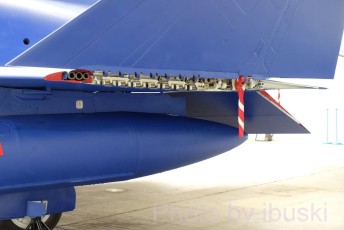 DSCF1199