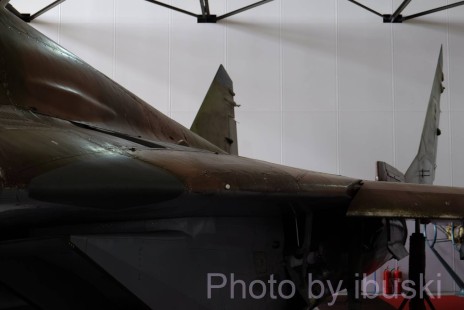 DSCF1204