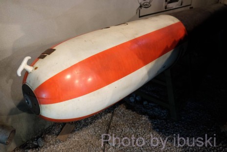 DSCF1574