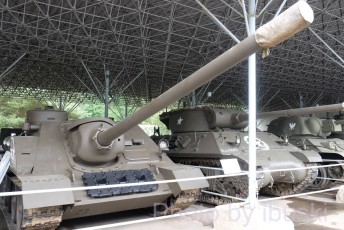 DSCF1955