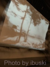 IMG_0303