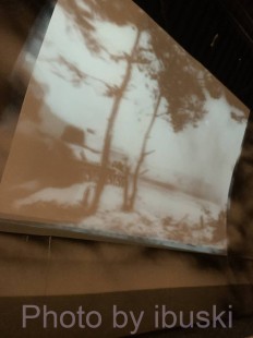 IMG_0303