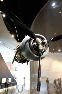 1_DSCF6689