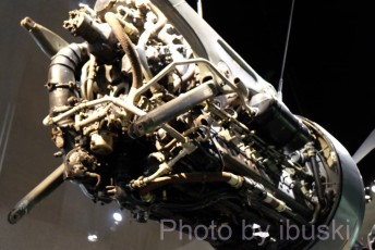 1_DSCF6695