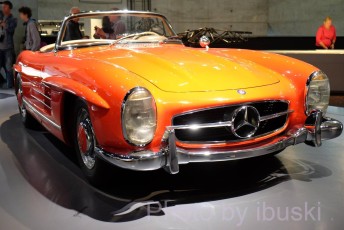 1_DSCF6721