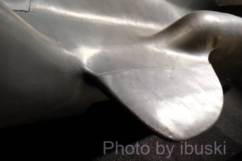 1_DSCF6950