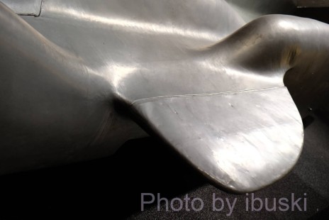 1_DSCF6950