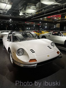 IMG_5901