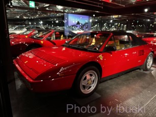 IMG_5905