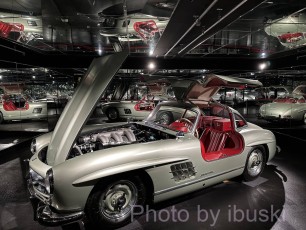 IMG_5911