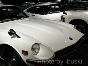 IMG_5919