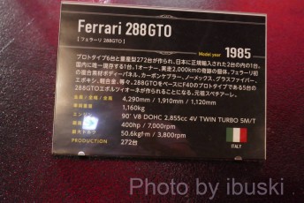 P1070305