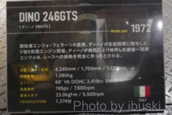 P1070307