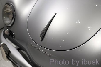 DSCF5713