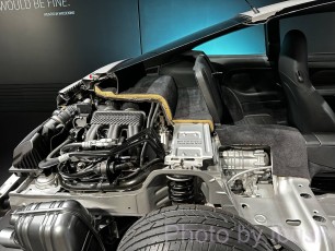 IMG_6595
