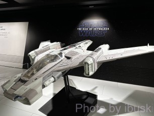 IMG_6639