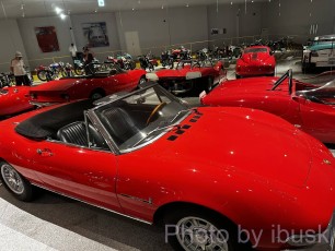 IMG_6081