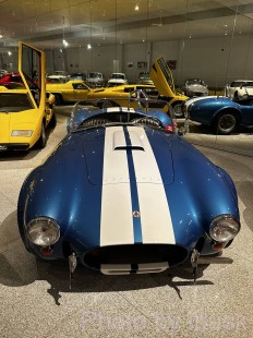 IMG_6095