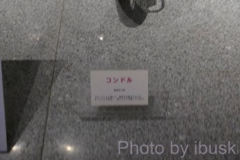 P1080016