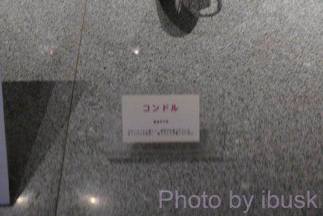 P1080016