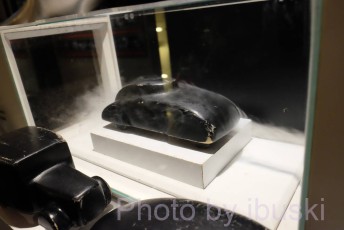 DSCF3361