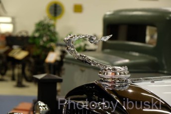 DSCF1636